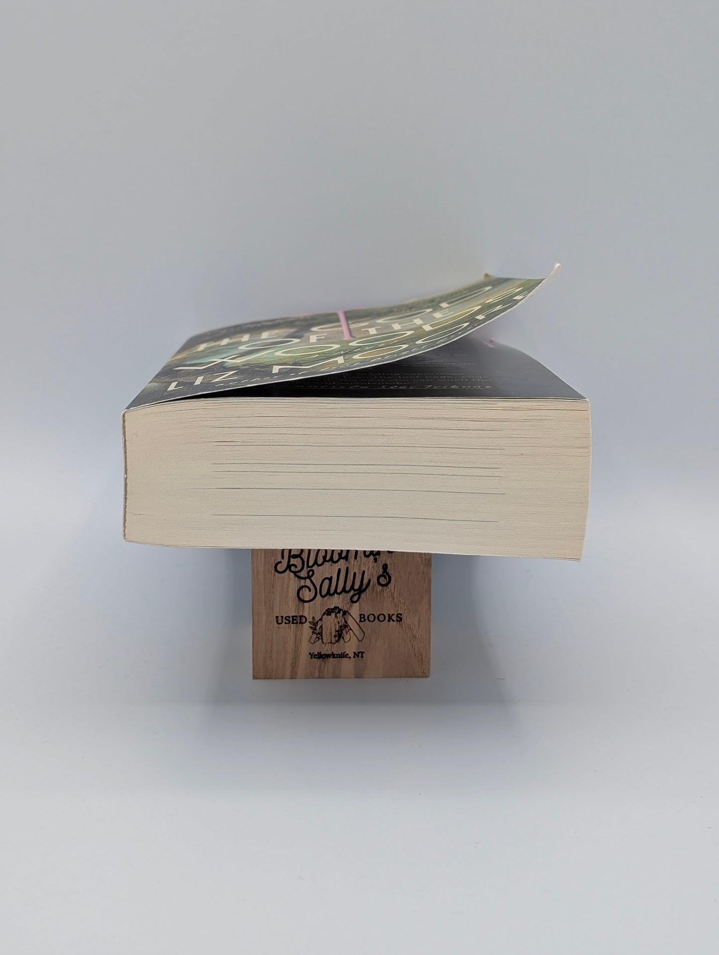 The God of the Woods: A Novel