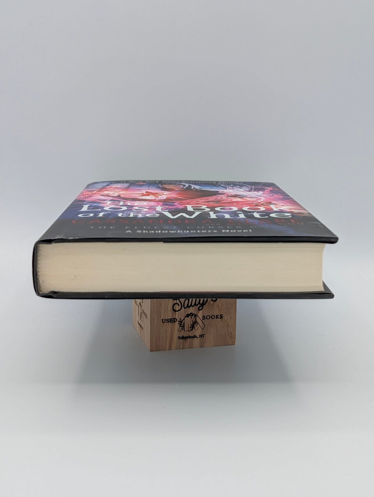 The Lost Book of the White (2) (The Eldest Curses)