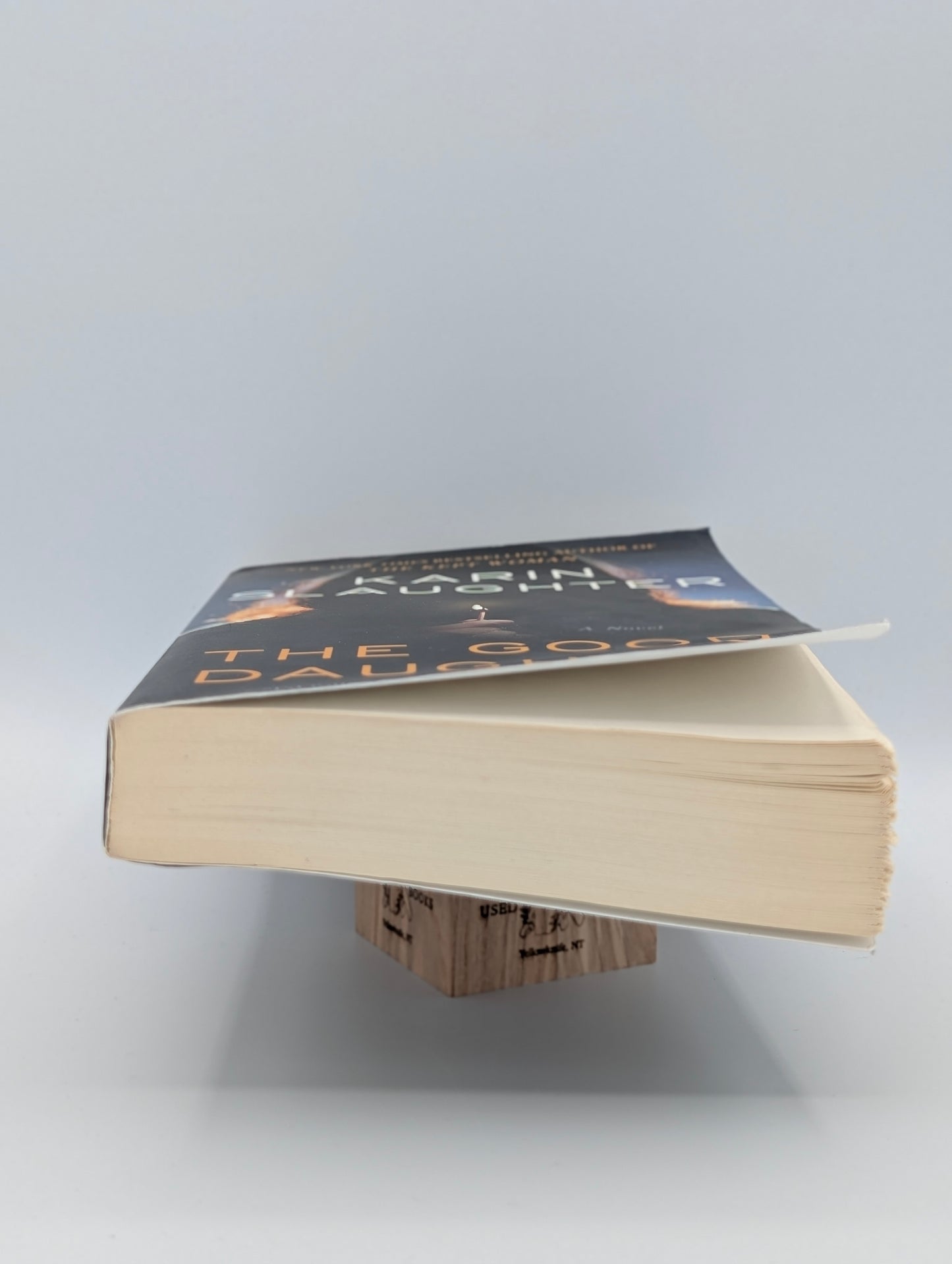 The Good Daughter: A Novel