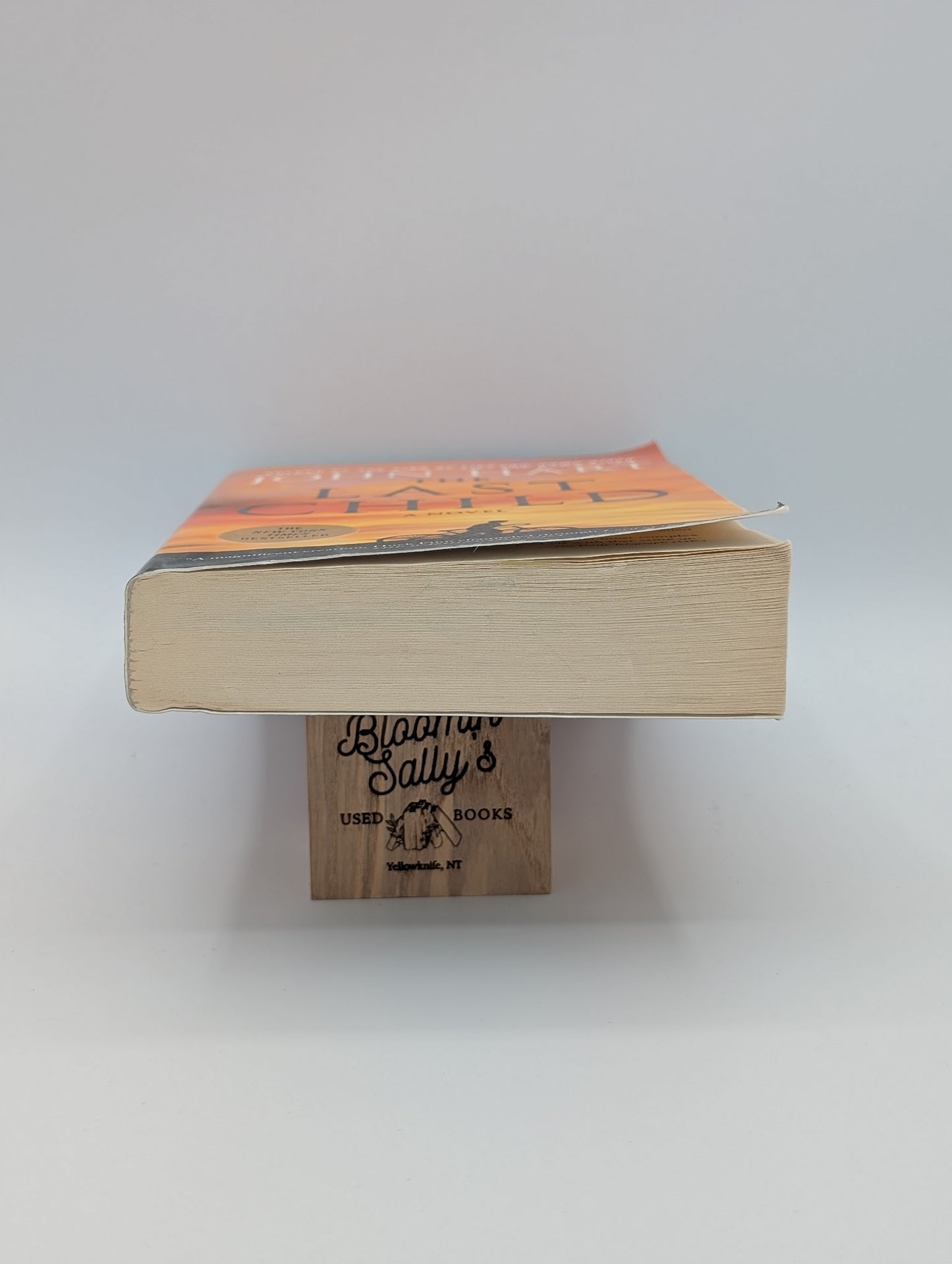 The Last Child: A Novel