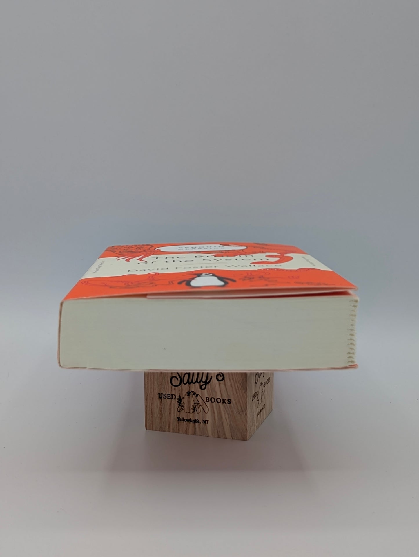 The Broom of the System: A Novel (Penguin Orange Collection)