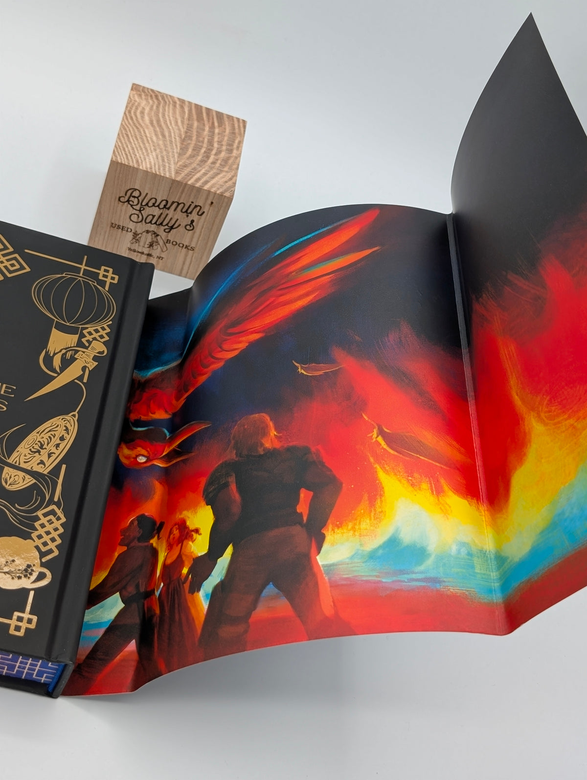 The Teller of Small Fortunes – OwlCrate SE; Fine