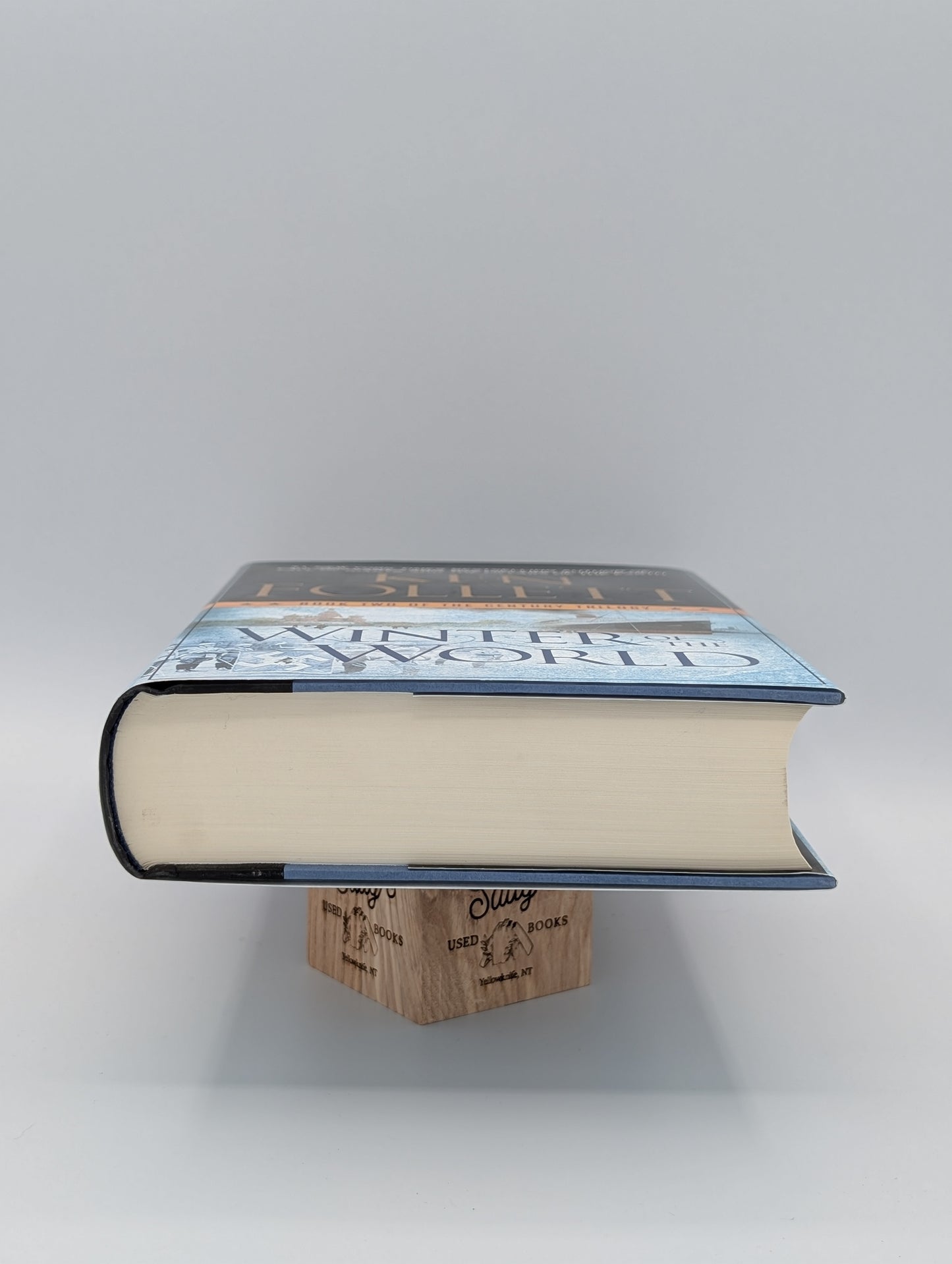 Winter of the World: Book Two of the Century Trilogy