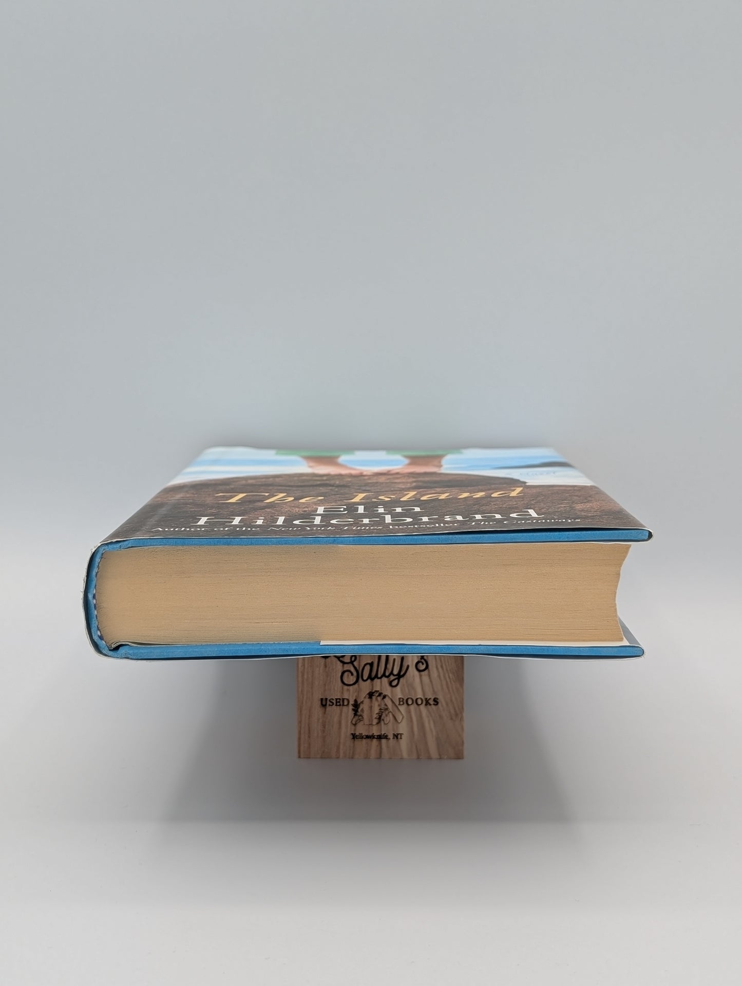 The Island: A Novel
