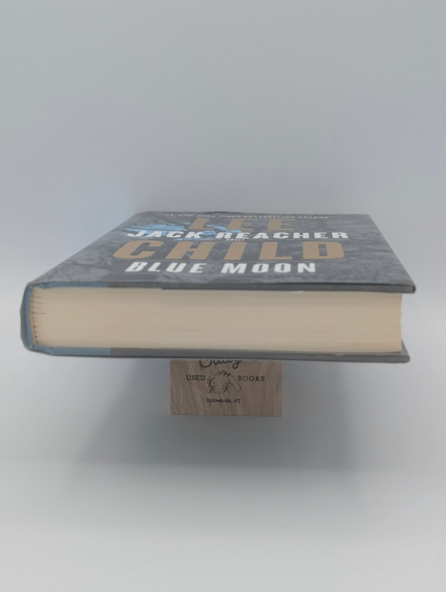 Blue Moon: A Jack Reacher Novel