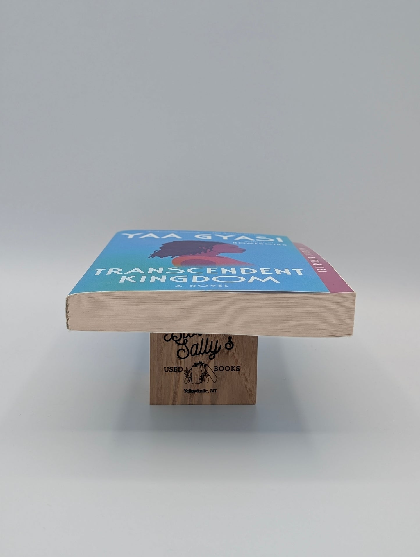 Transcendent Kingdom: A Read with Jenna Pick: A novel