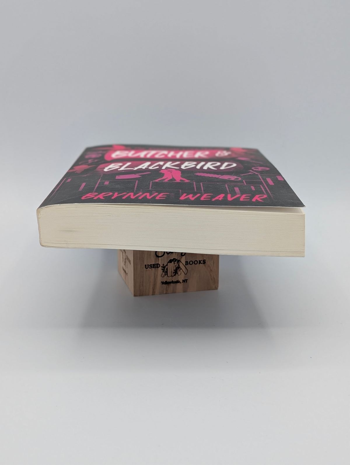 Butcher & Blackbird: The Ruinous Love Trilogy (The Ruinous Love Trilogy, 1)
