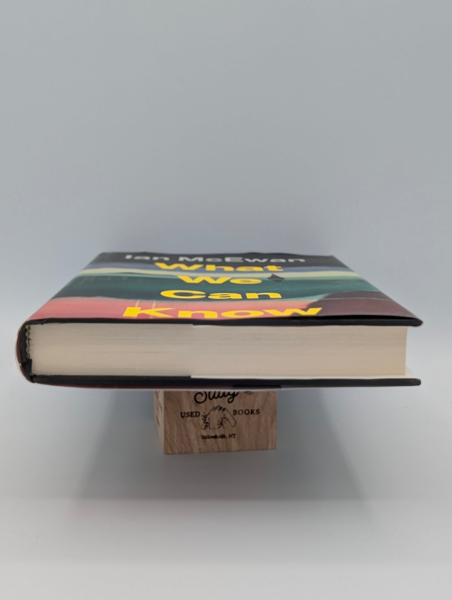What We Can Know: A Novel