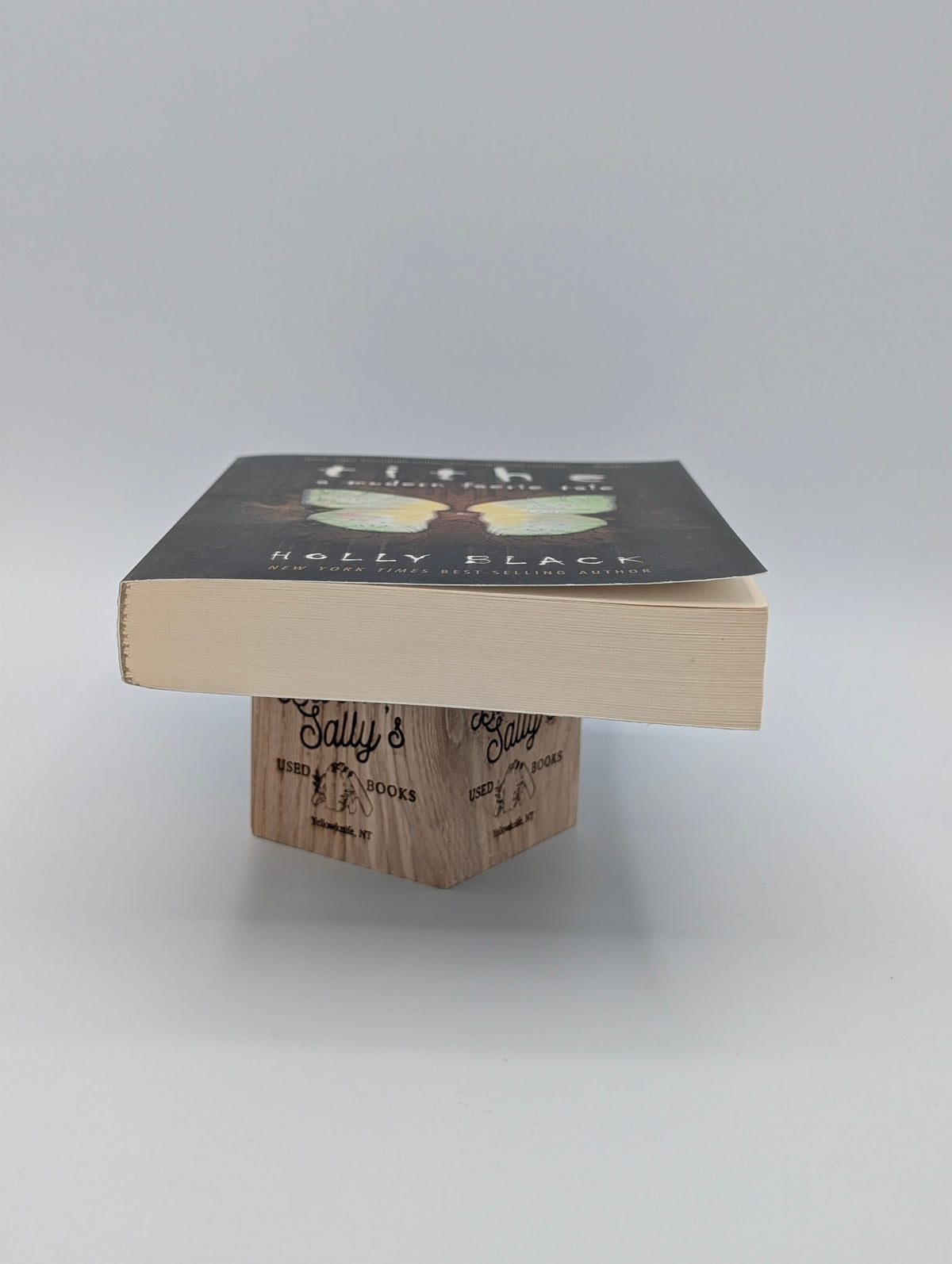 Tithe: A Modern Faerie Tale (Modern Faerie Tales)