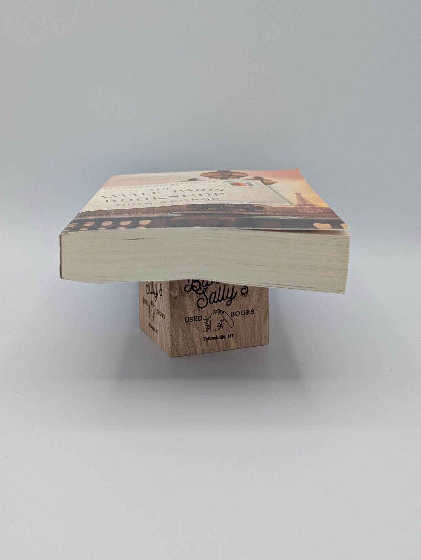 The Little Paris Bookshop: A Novel