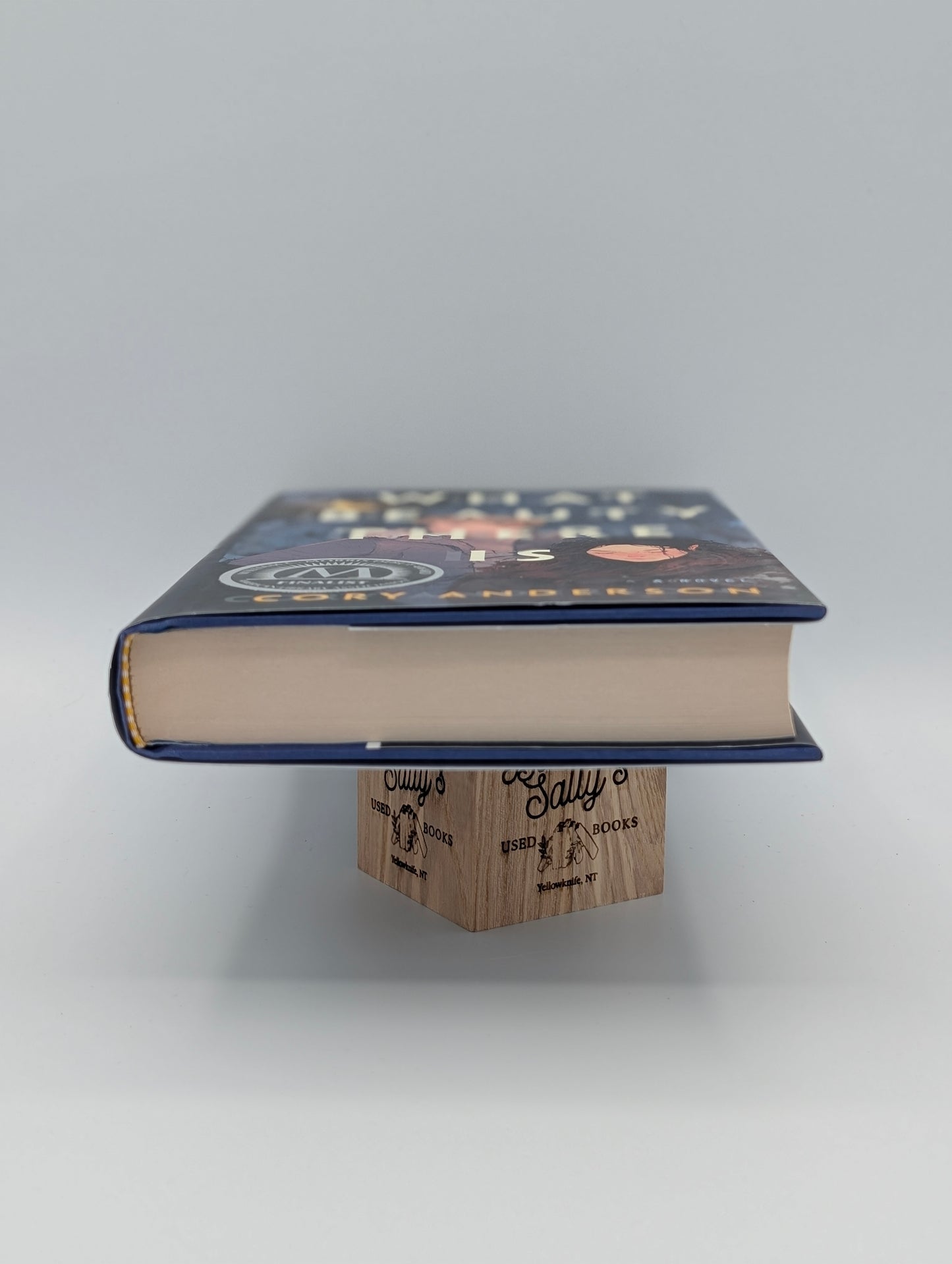 What Beauty There Is: A Novel