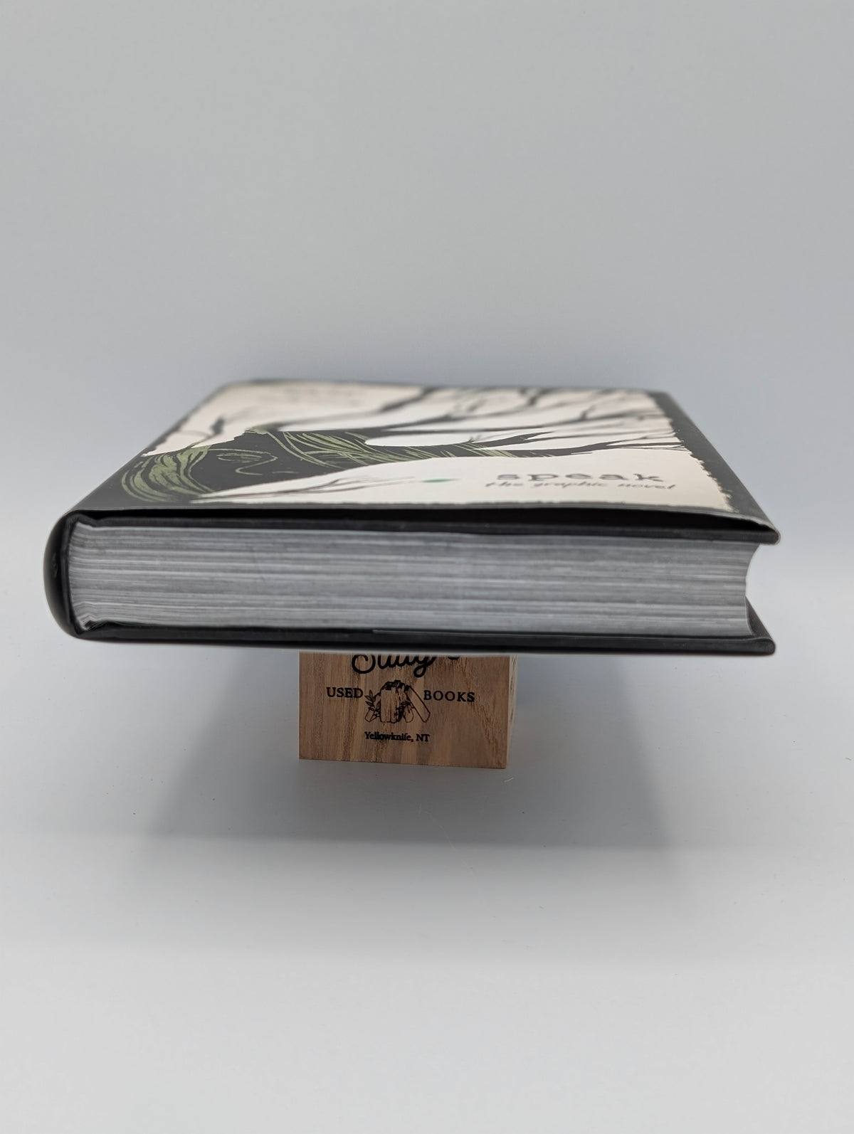 Speak: The Graphic Novel