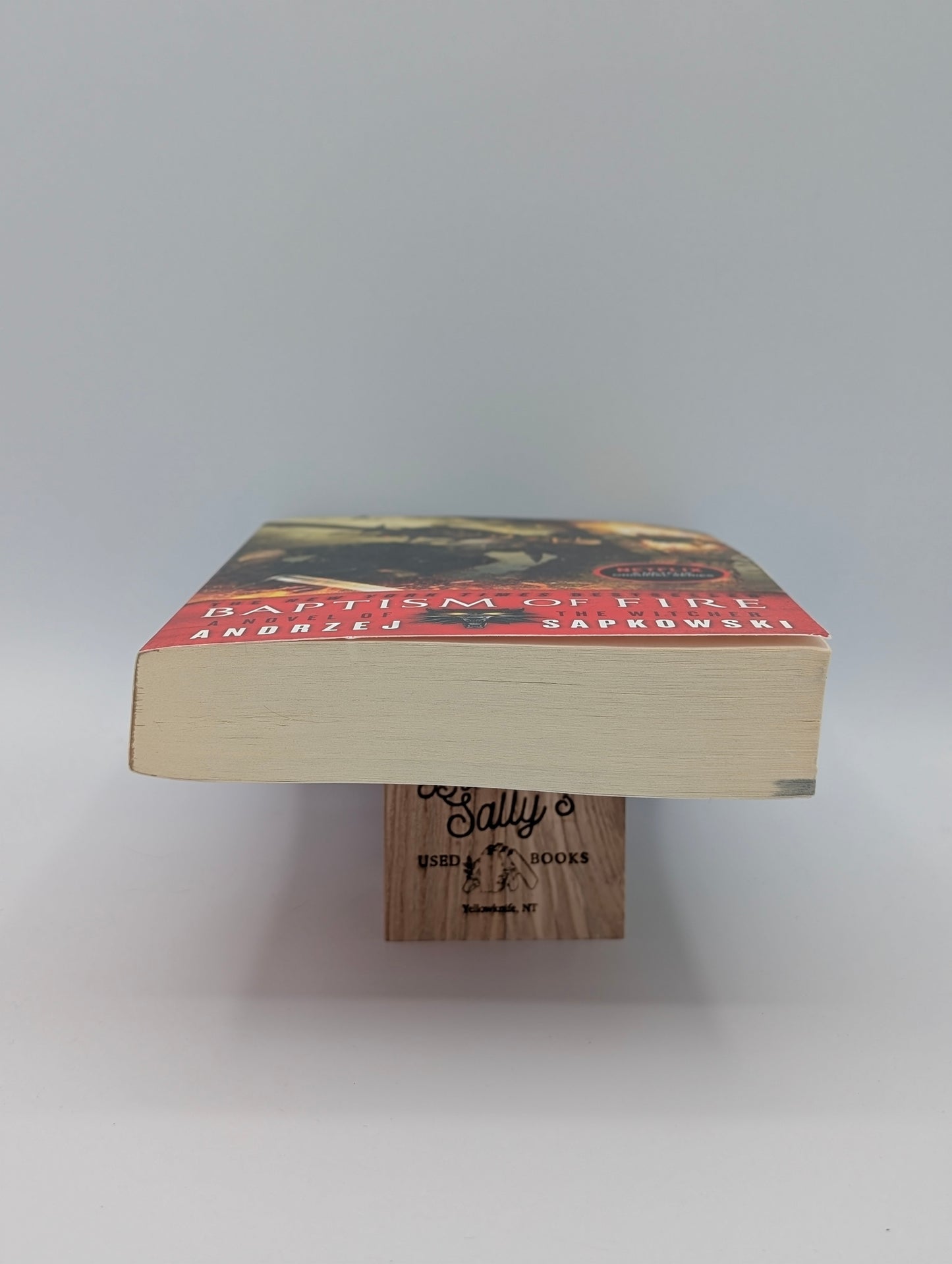 Baptism of Fire (The Witcher, 5)