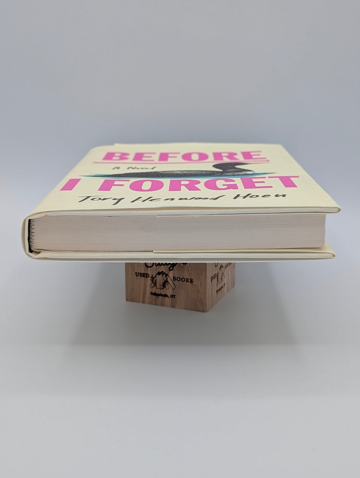 Before I Forget: A Novel