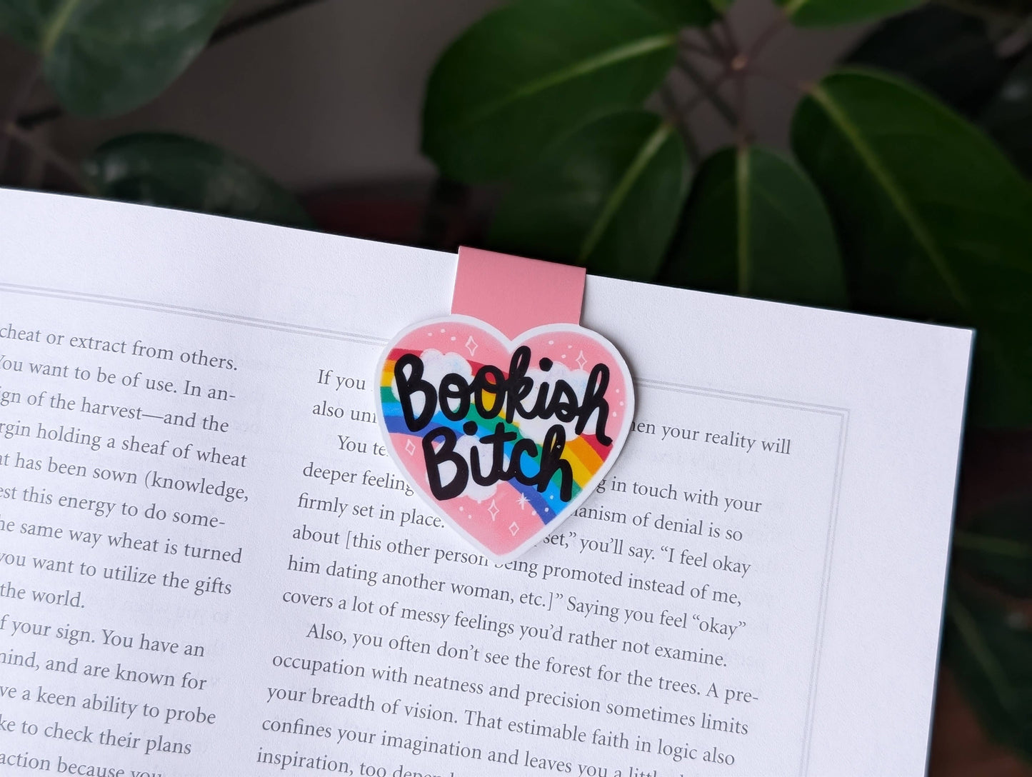 Bookish Bitch Magnetic Bookmark for Book Lovers