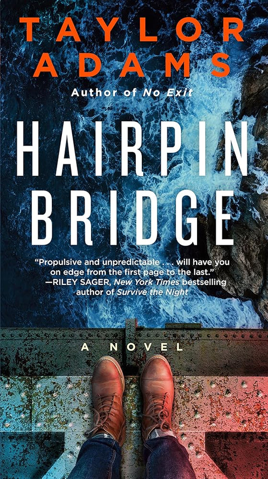 Hairpin Bridge: A Novel cover image