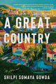 A Great Country: A Novel cover image