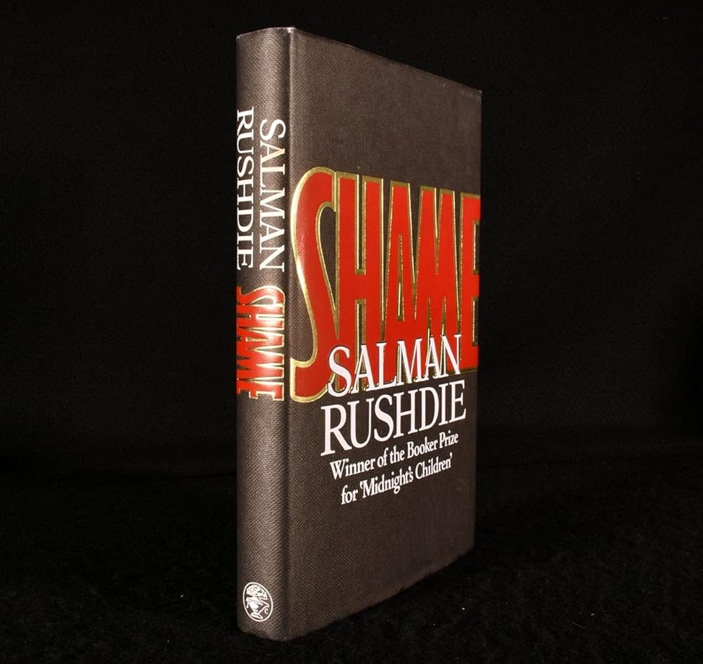 Shame cover image