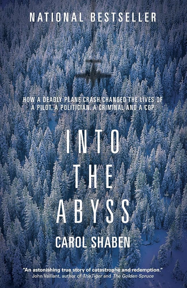 Into the Abyss: How a Deadly Plane Crash Changed the Lives of a Pilot, a Politician, a Criminal and a Cop cover image