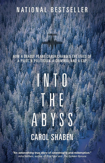 Into the Abyss: How a Deadly Plane Crash Changed the Lives of a Pilot, a Politician, a Criminal and a Cop cover image