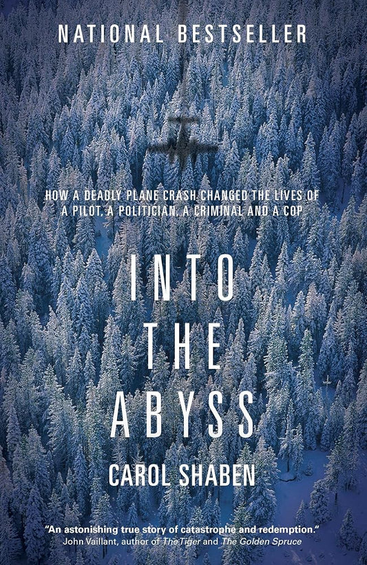 Into the Abyss: How a Deadly Plane Crash Changed the Lives of a Pilot, a Politician, a Criminal and a Cop cover image
