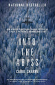 Into the Abyss: How a Deadly Plane Crash Changed the Lives of a Pilot, a Politician, a Criminal and a Cop cover image