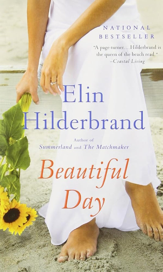Beautiful Day: A Novel cover image