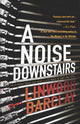 A Noise Downstairs cover image