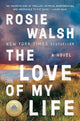 The Love of My Life: A Novel cover image