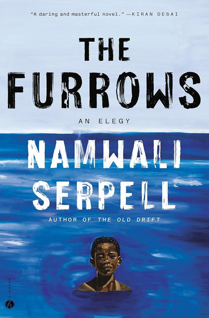 The Furrows: A Novel cover image