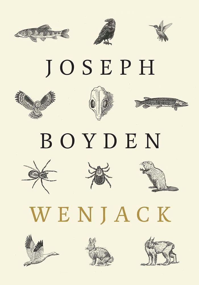 Wenjack cover image