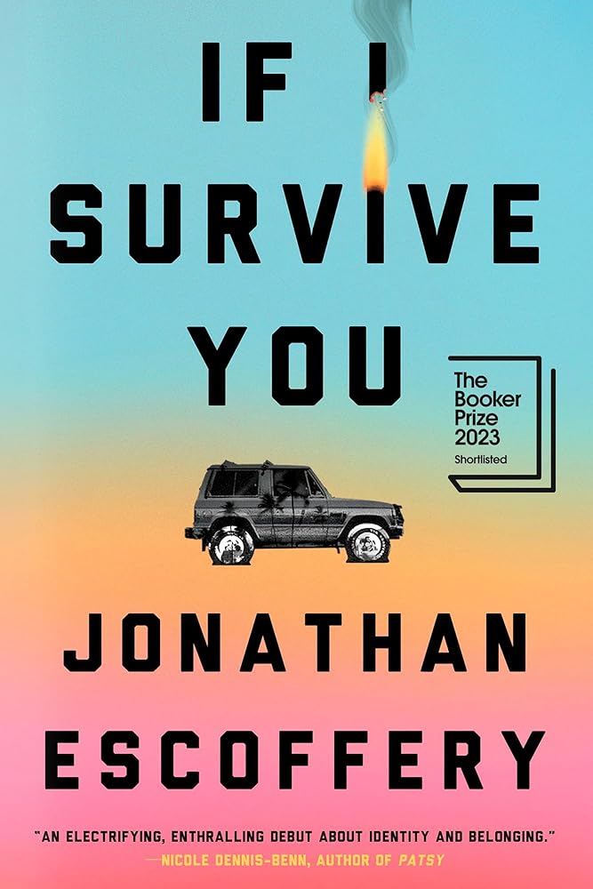 If I Survive You cover image