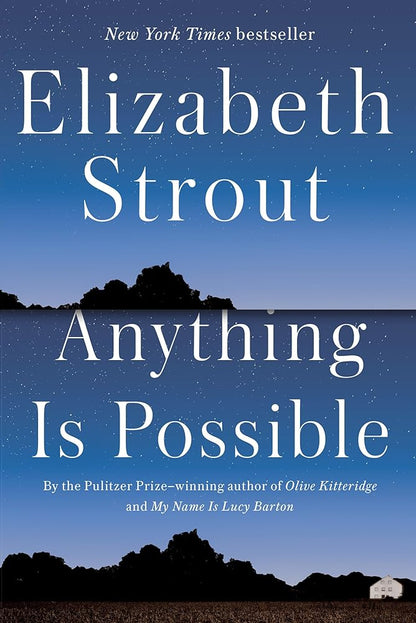 Anything Is Possible: A Novel cover image