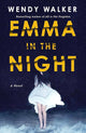 Emma in the Night: A Novel cover image
