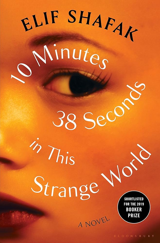 10 Minutes 38 Seconds in This Strange World cover image