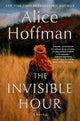 The Invisible Hour: A Novel cover image