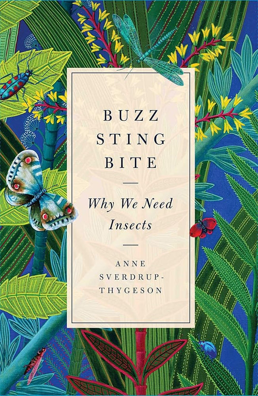 Buzz, Sting, Bite: Why We Need Insects cover image