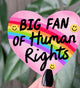 Big Fan of Human Rights Rainbow Heart Vinyl Sticker *pre-sale*