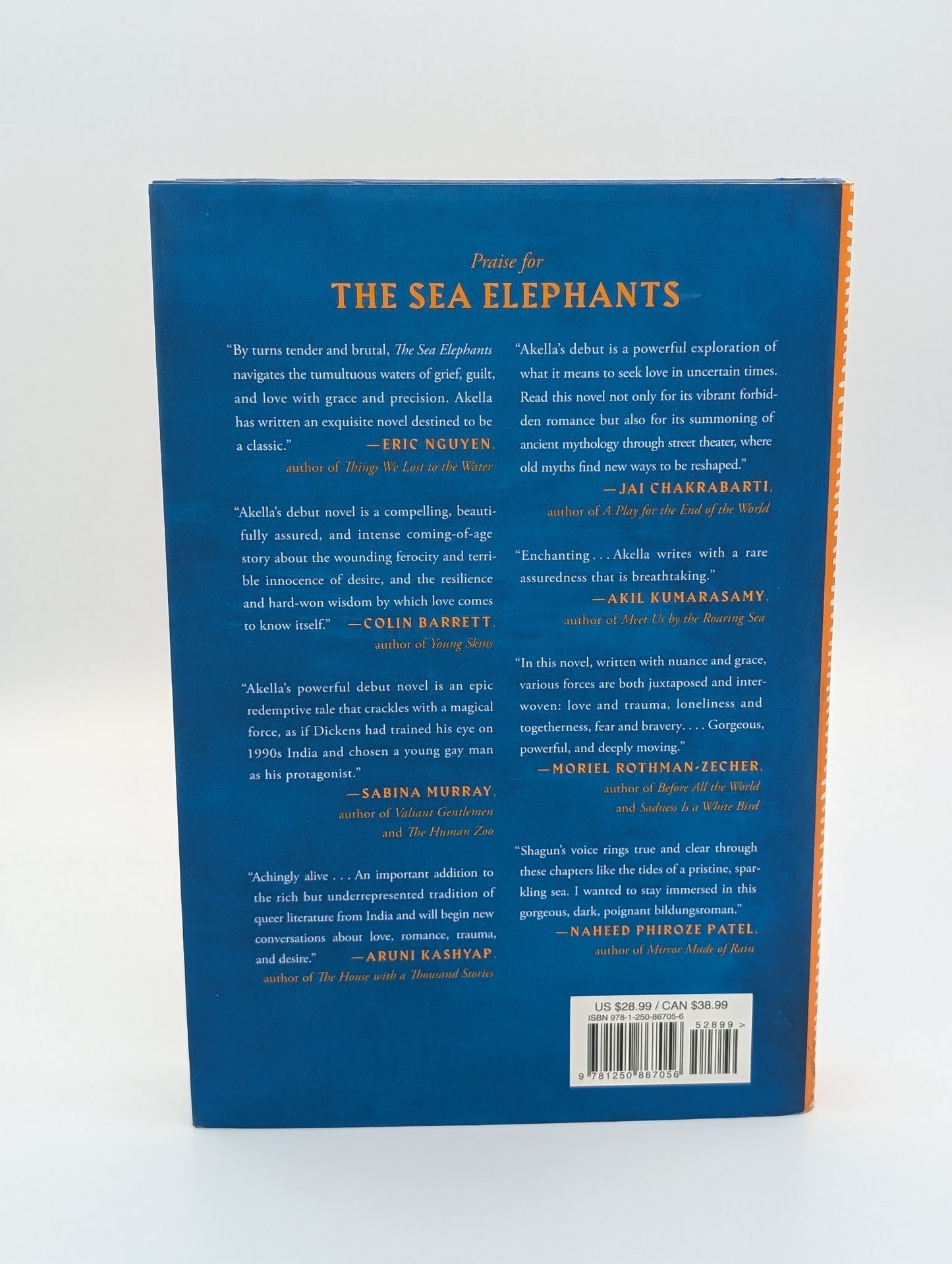 Les éléphants de mer : un roman