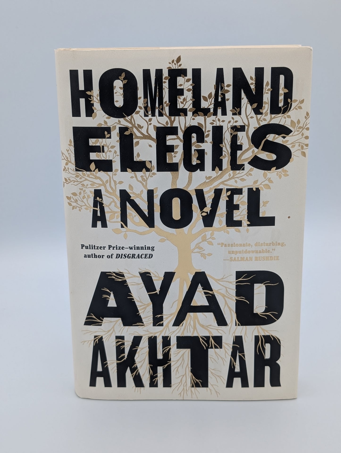 Homeland Elegies: A Novel
