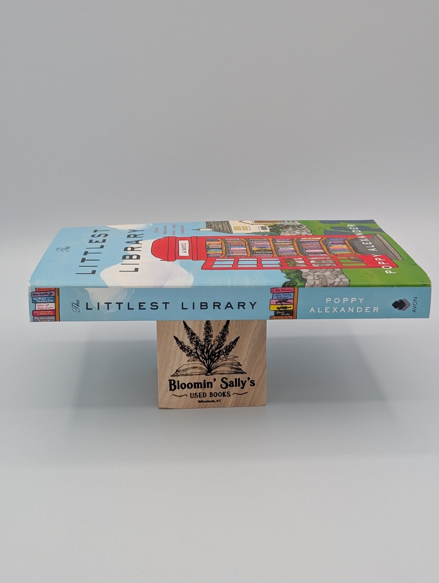 The Littlest Library: A Novel