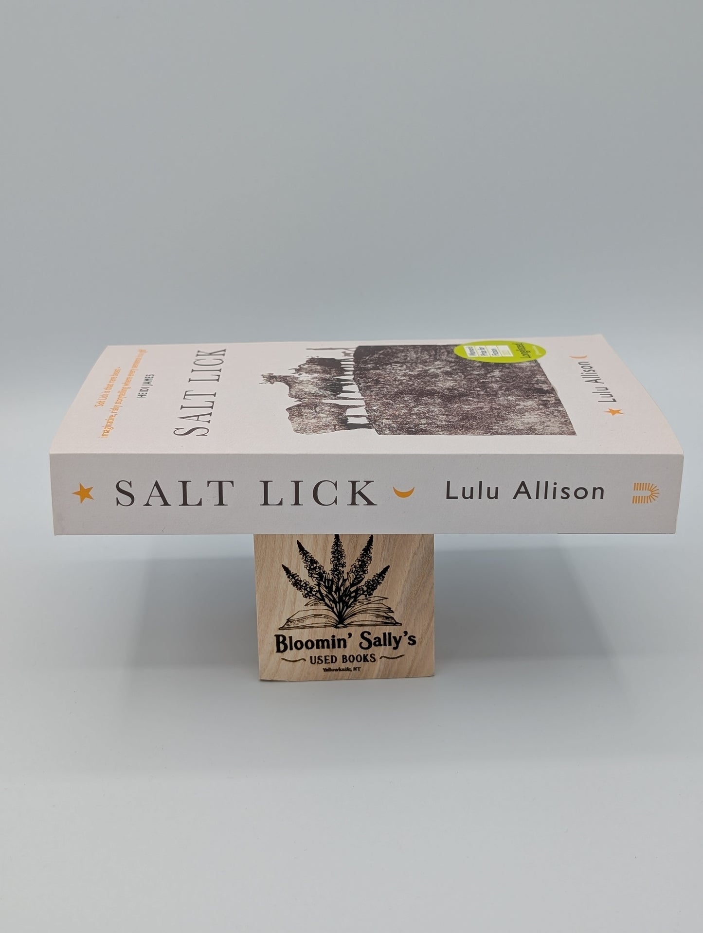 Salt Lick