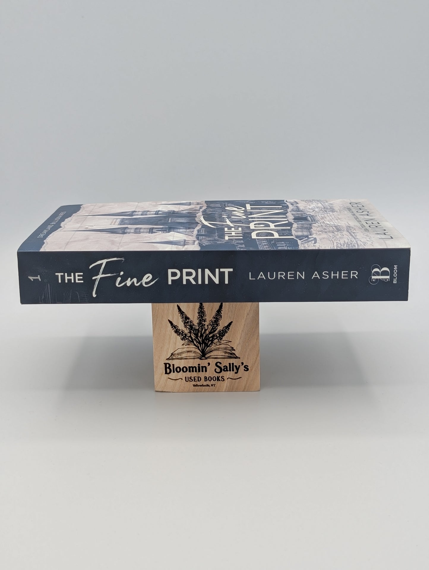 The Fine Print Special Edition (Dreamland Billionaires, 1)