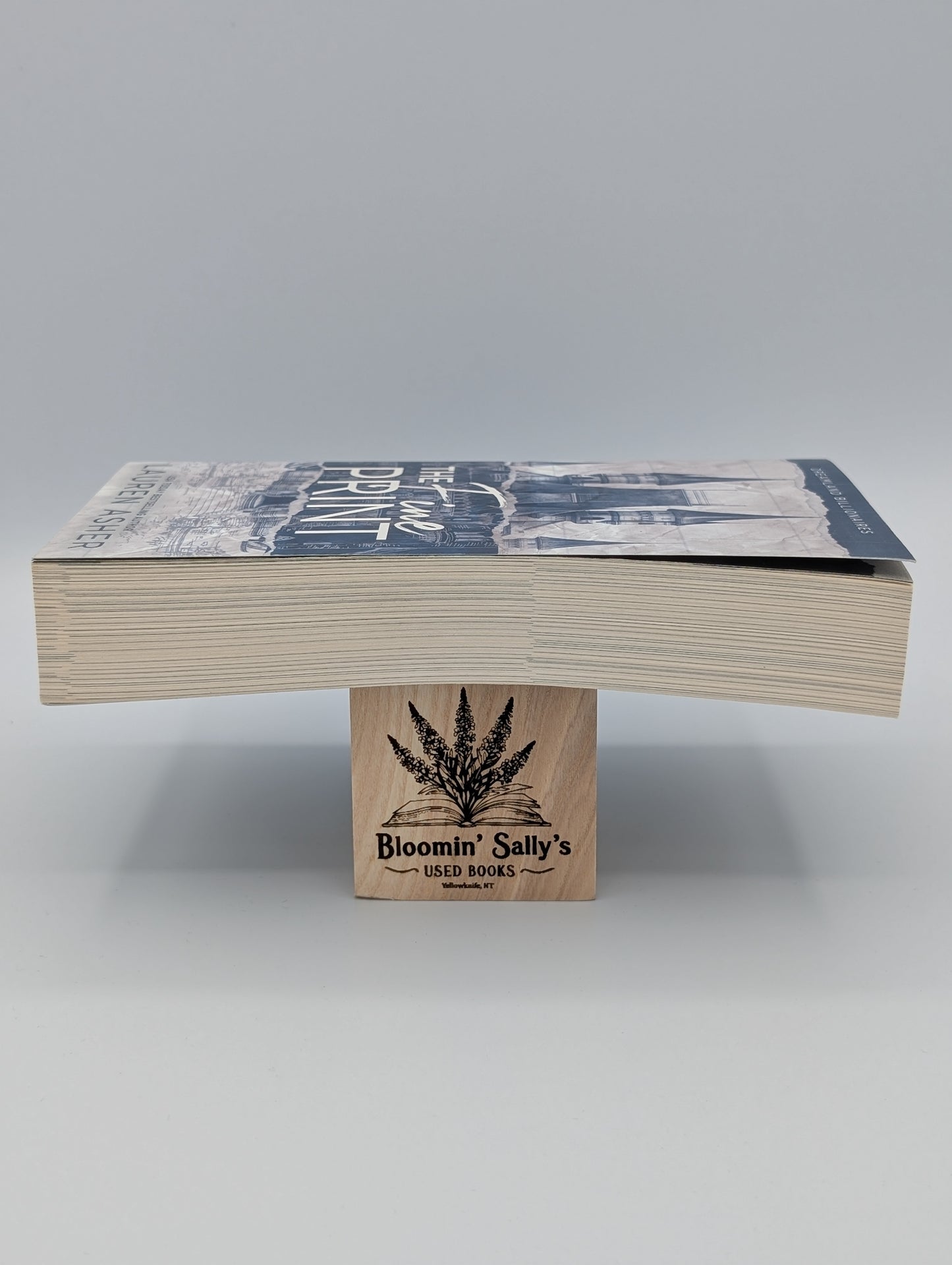 The Fine Print Special Edition (Dreamland Billionaires, 1)