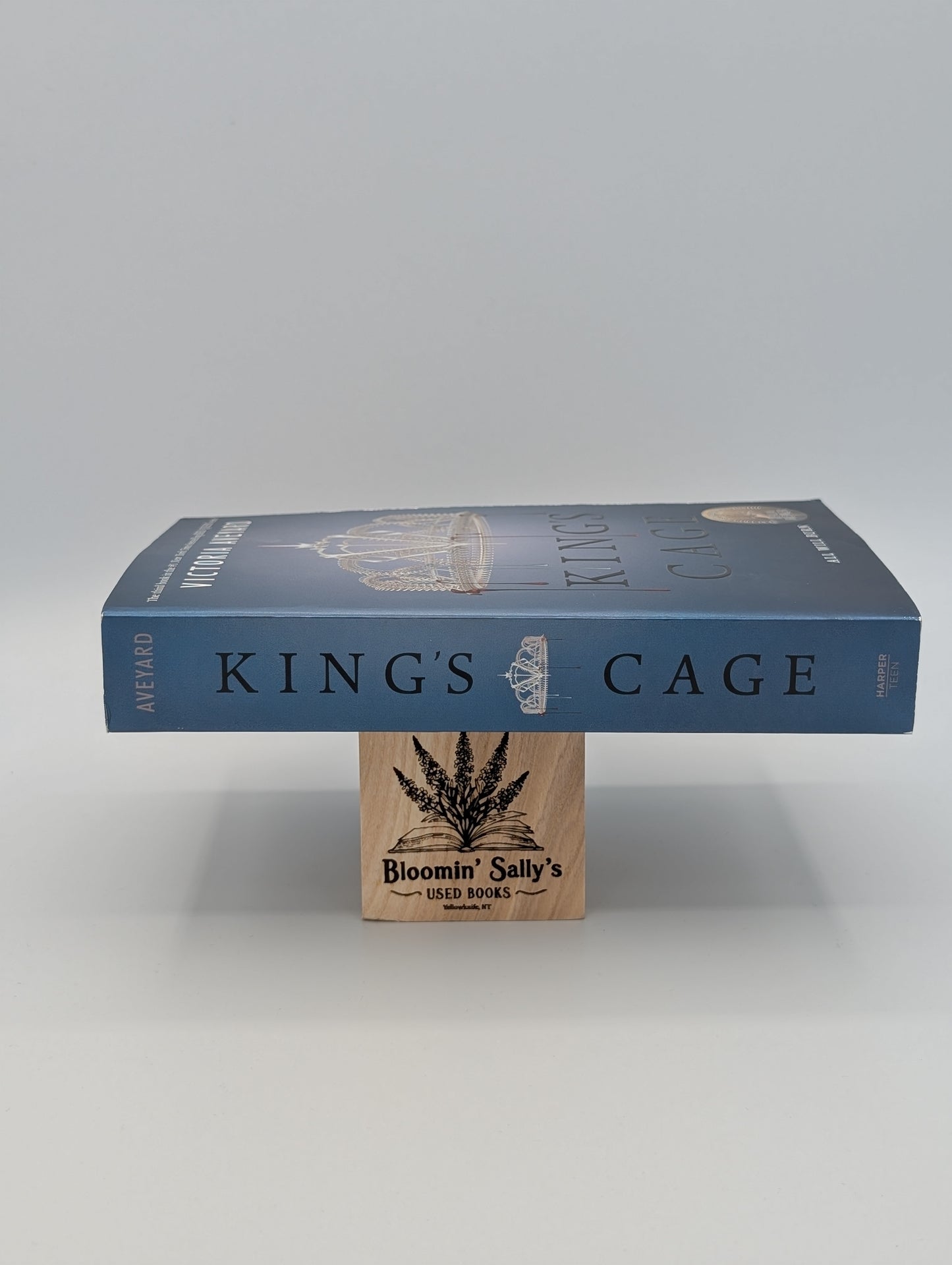 La Cage du Roi (Reine Rouge, 3)
