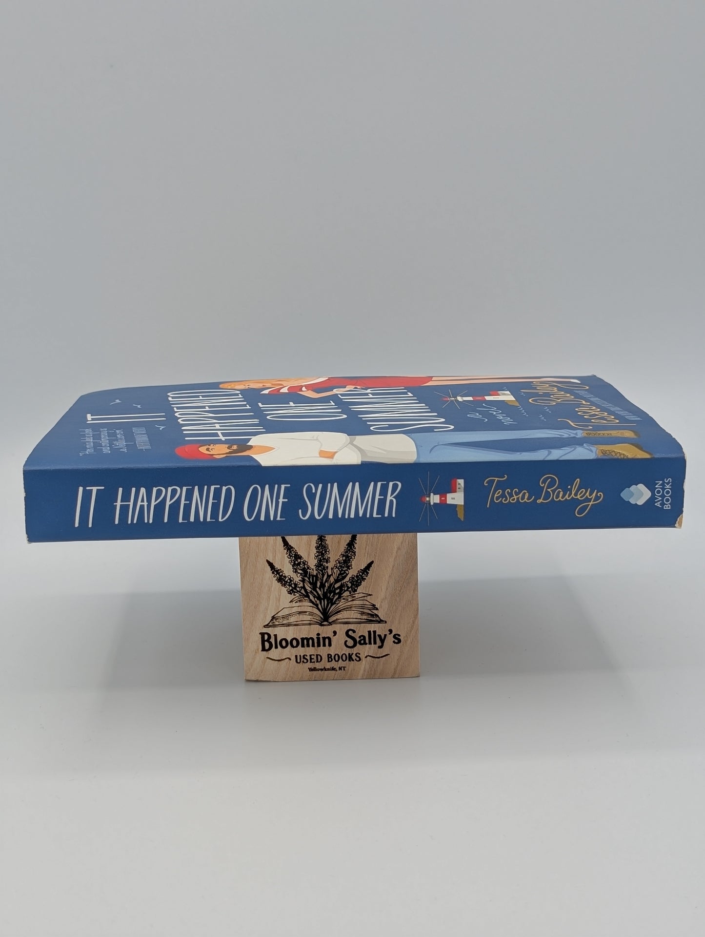 Il s'est passé un été : un roman (Les sœurs Bellinger, 1)