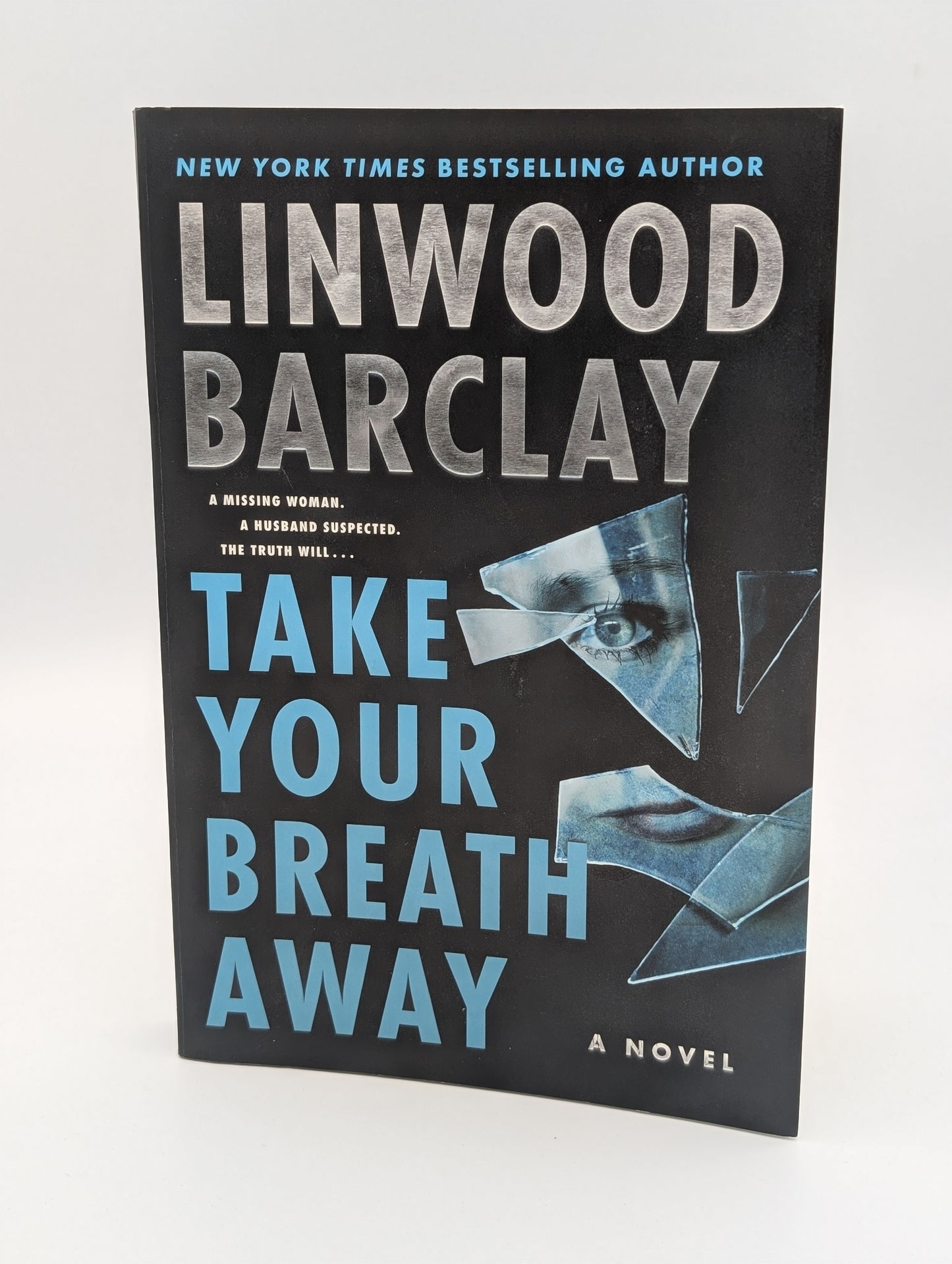 Take Your Breath Away: A Novel