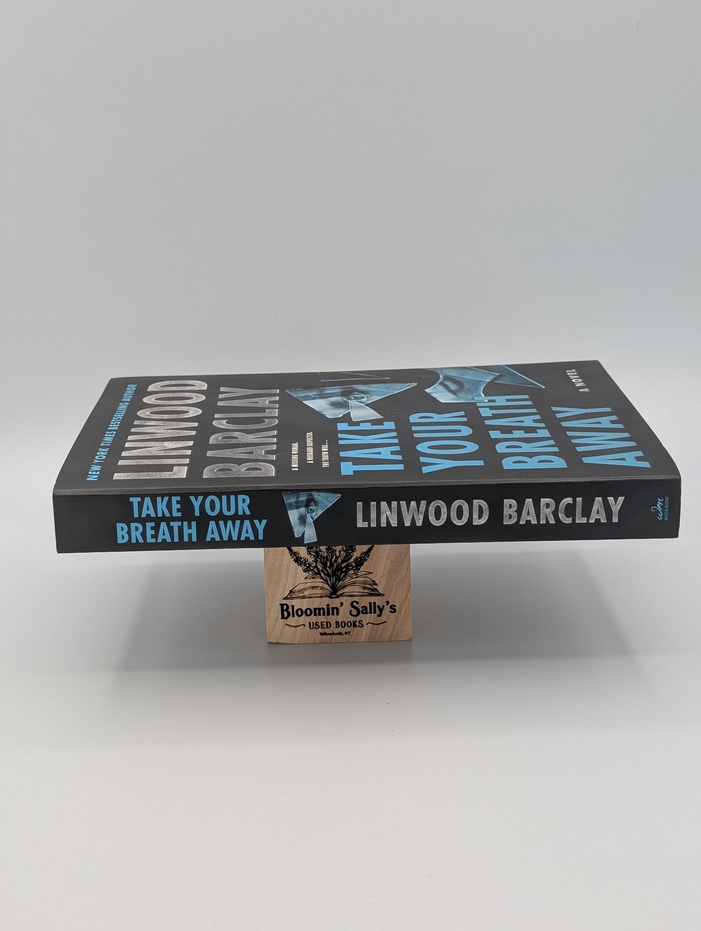 Take Your Breath Away: A Novel