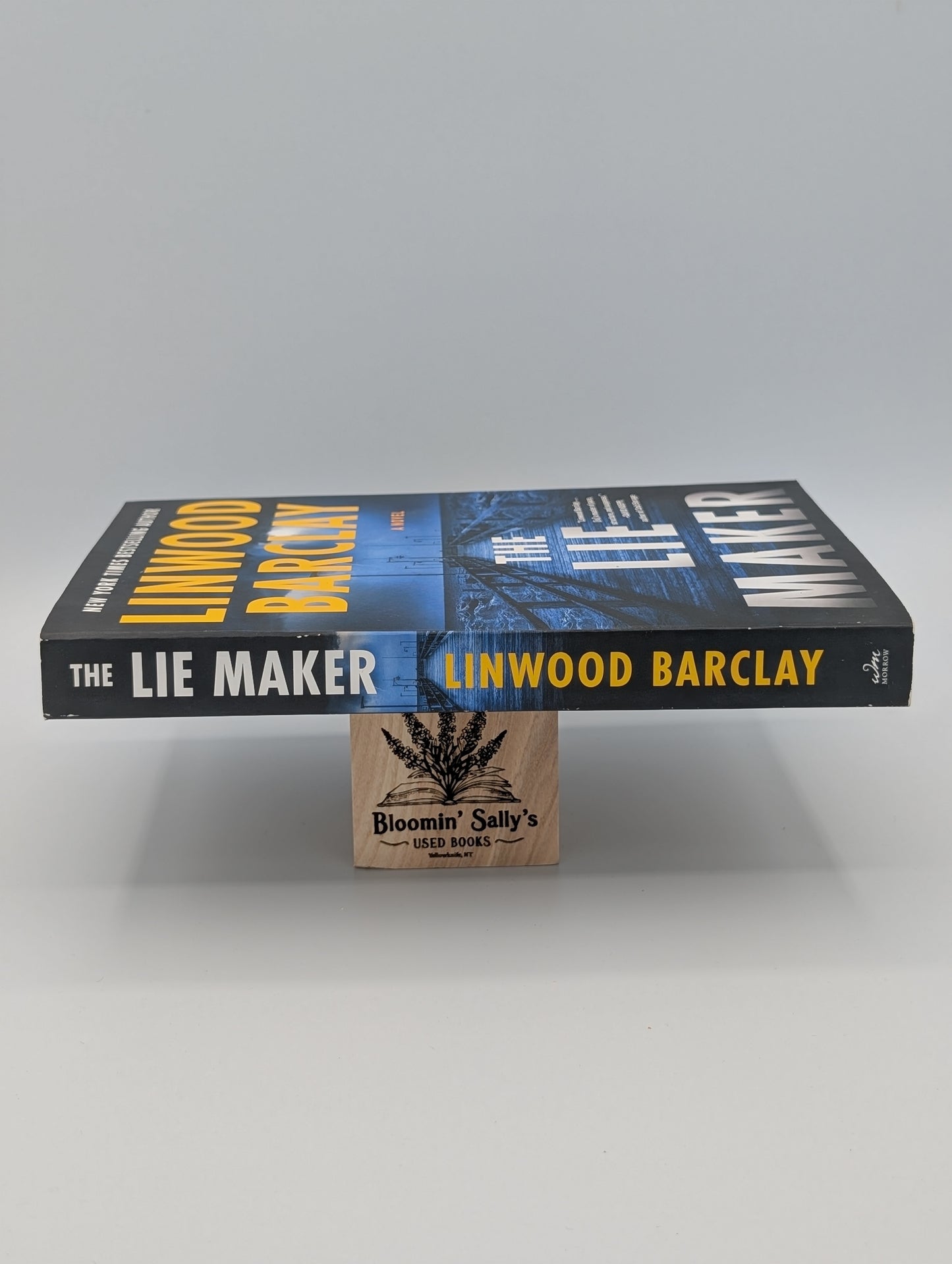 The Lie Maker: A Novel