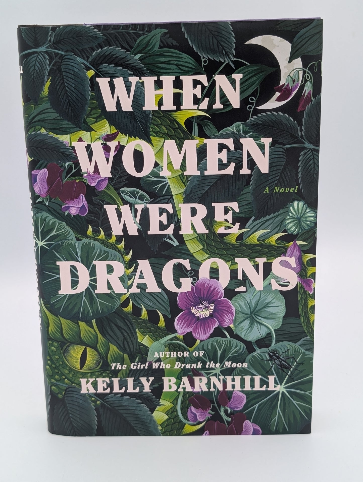 Quand les femmes étaient des dragons : un roman